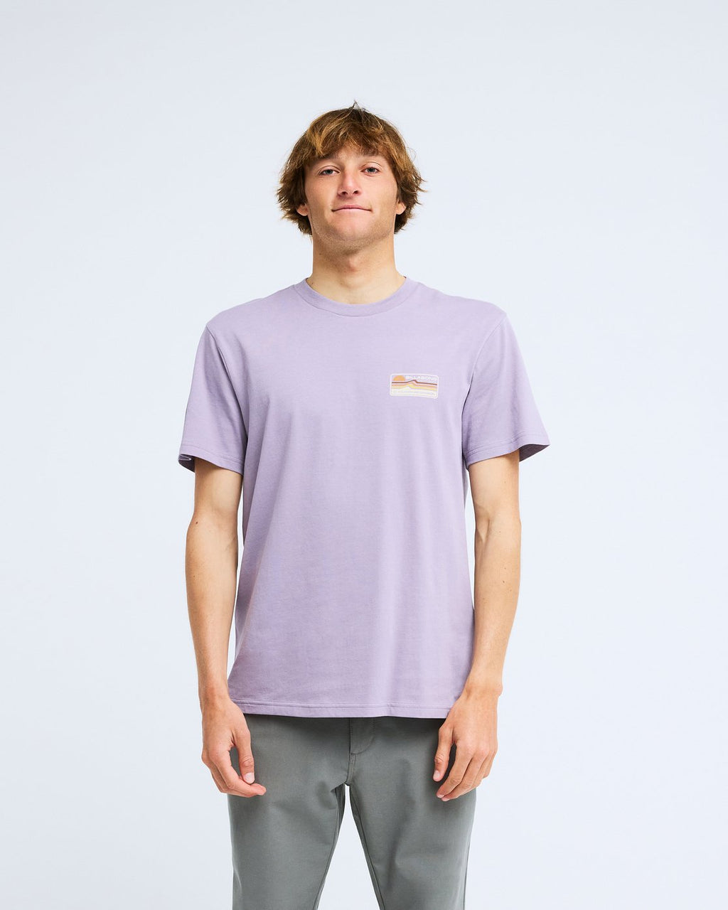 T-shirt Billabong Range violet cendré, porté, de face